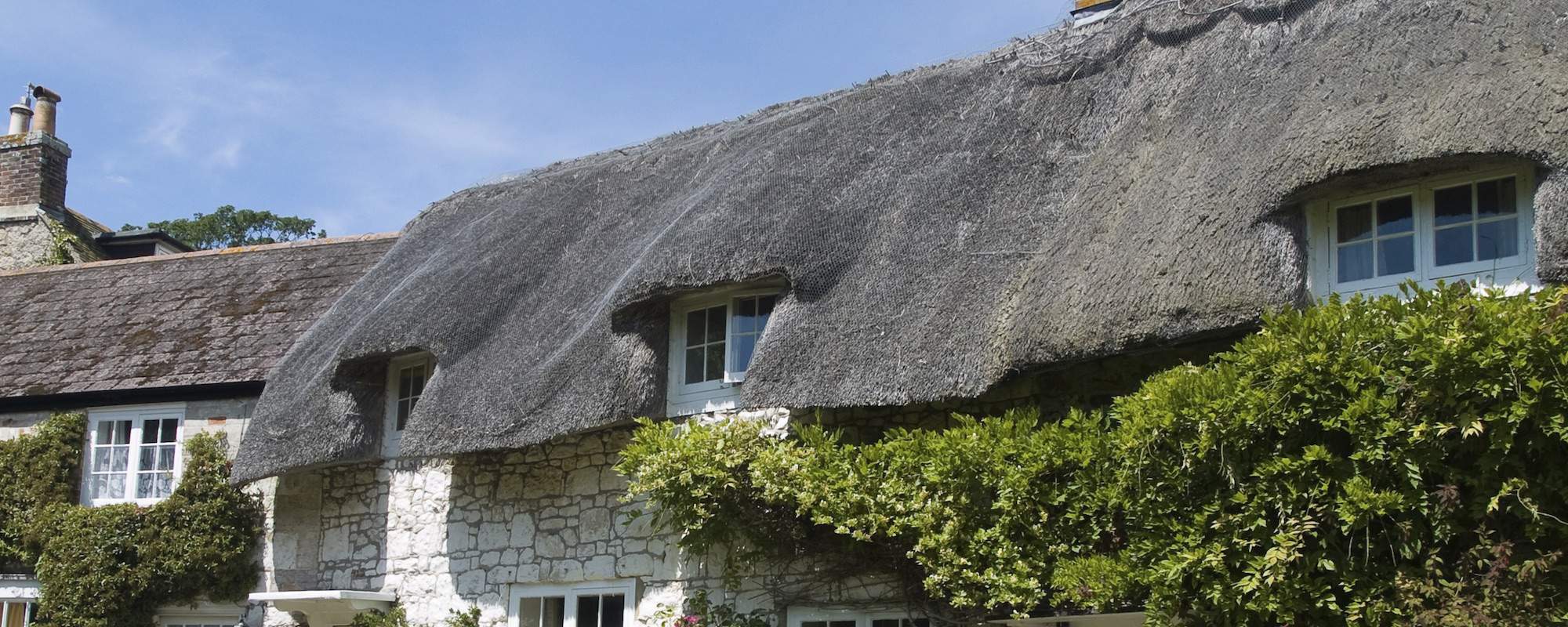 Thatched cottage roof